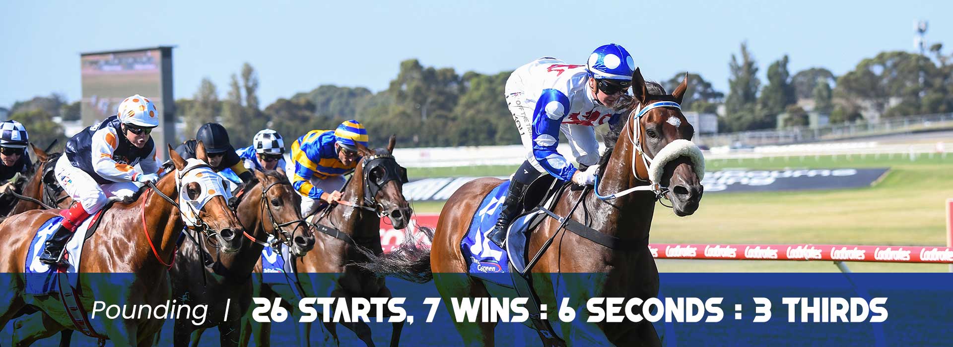 Pounding / 26 Starts-7:6:3. Prizemoney: $982,290. Group 3 Winner. 3rd in Group 1 Australia Cup.