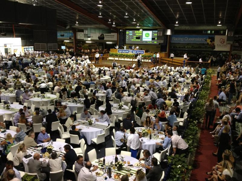 Unique Opportunity 2015 Magic Millions Yearling Sales