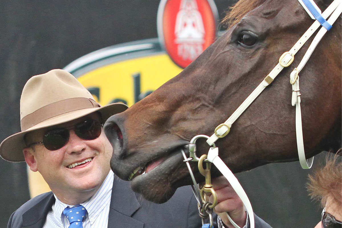 Peter Moody, Trainer