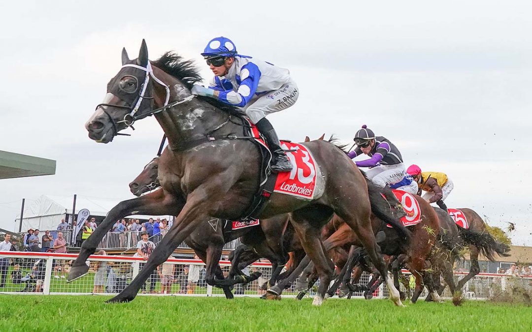 Good Friday Is A Great Friday For Connections Of Red Hot Nicc As Dalziel Racing Gelding Snares $100,000 Race At Sale