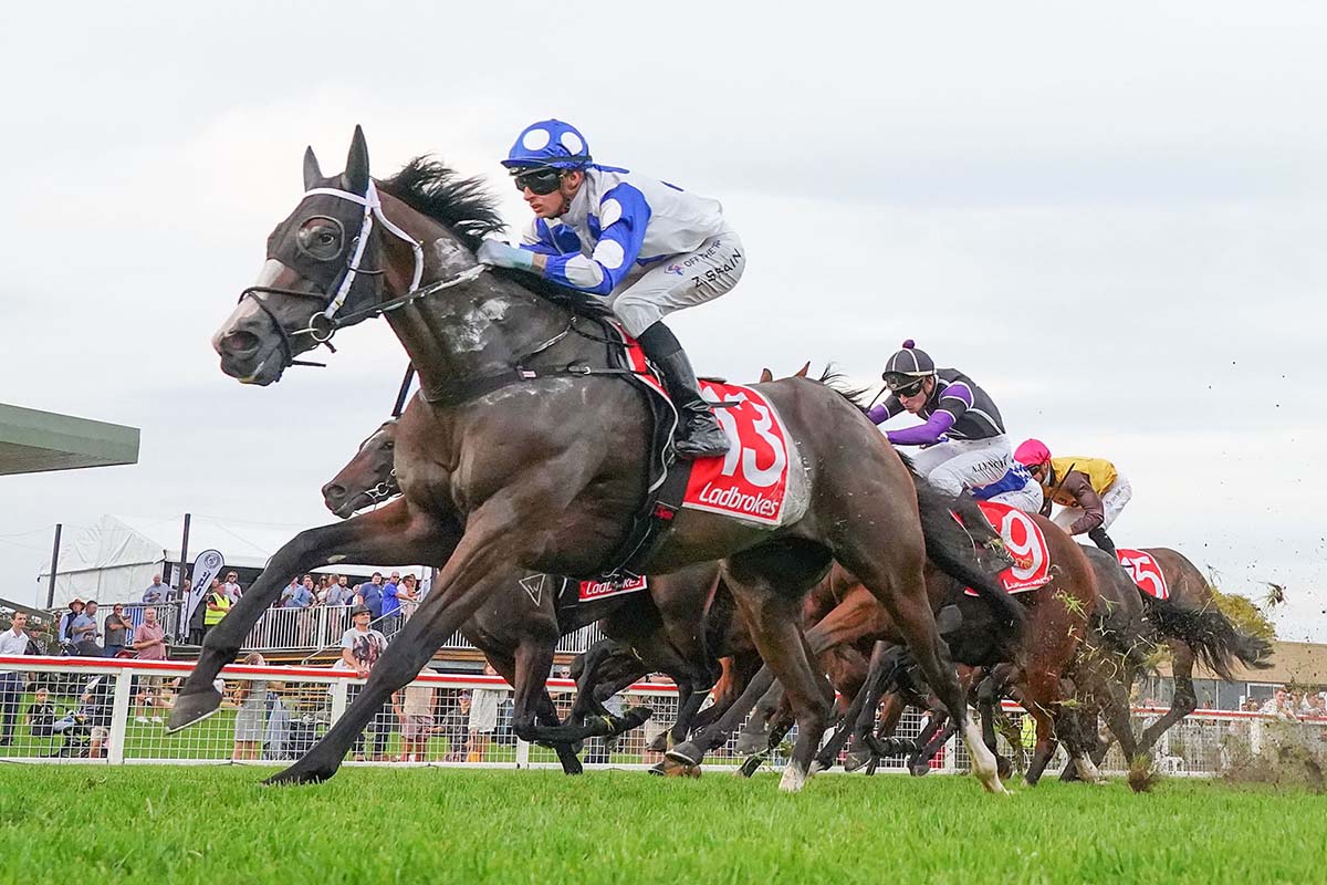 Good Friday Is A Great Friday For Connections Of Red Hot Nicc As Dalziel Racing Gelding Snares $100,000 Race At Sale