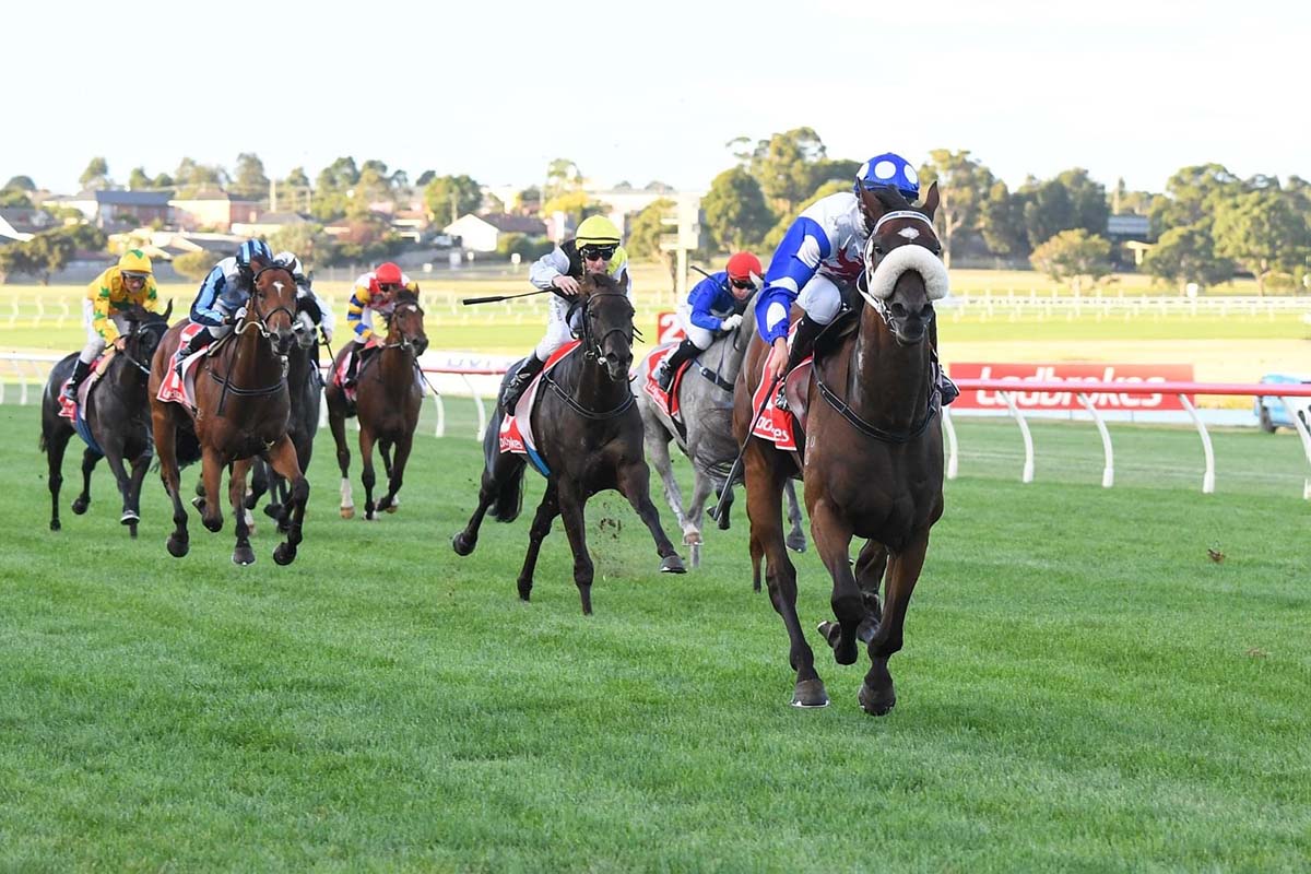 There Was No Beating Pounding As The Super Consistent Gelding Grabbed Another City Win
