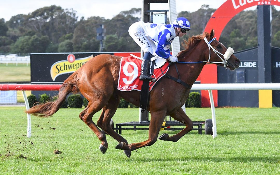 Boogie Dancer Shakes Her Groove Thing At Sandown