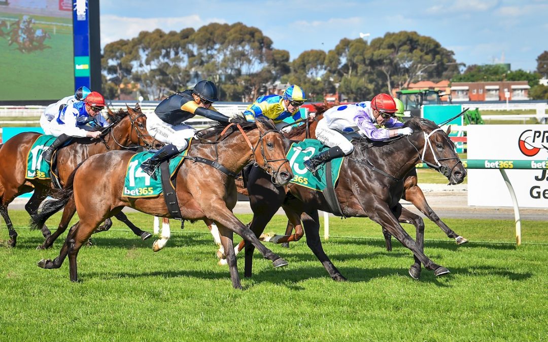 Connections On Cloud 9 After Savannah Cloud’s Ballan Cup Win