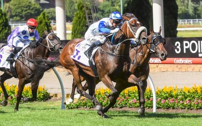 Pounding Gives His Rivals Exactly That At Moonee Valley