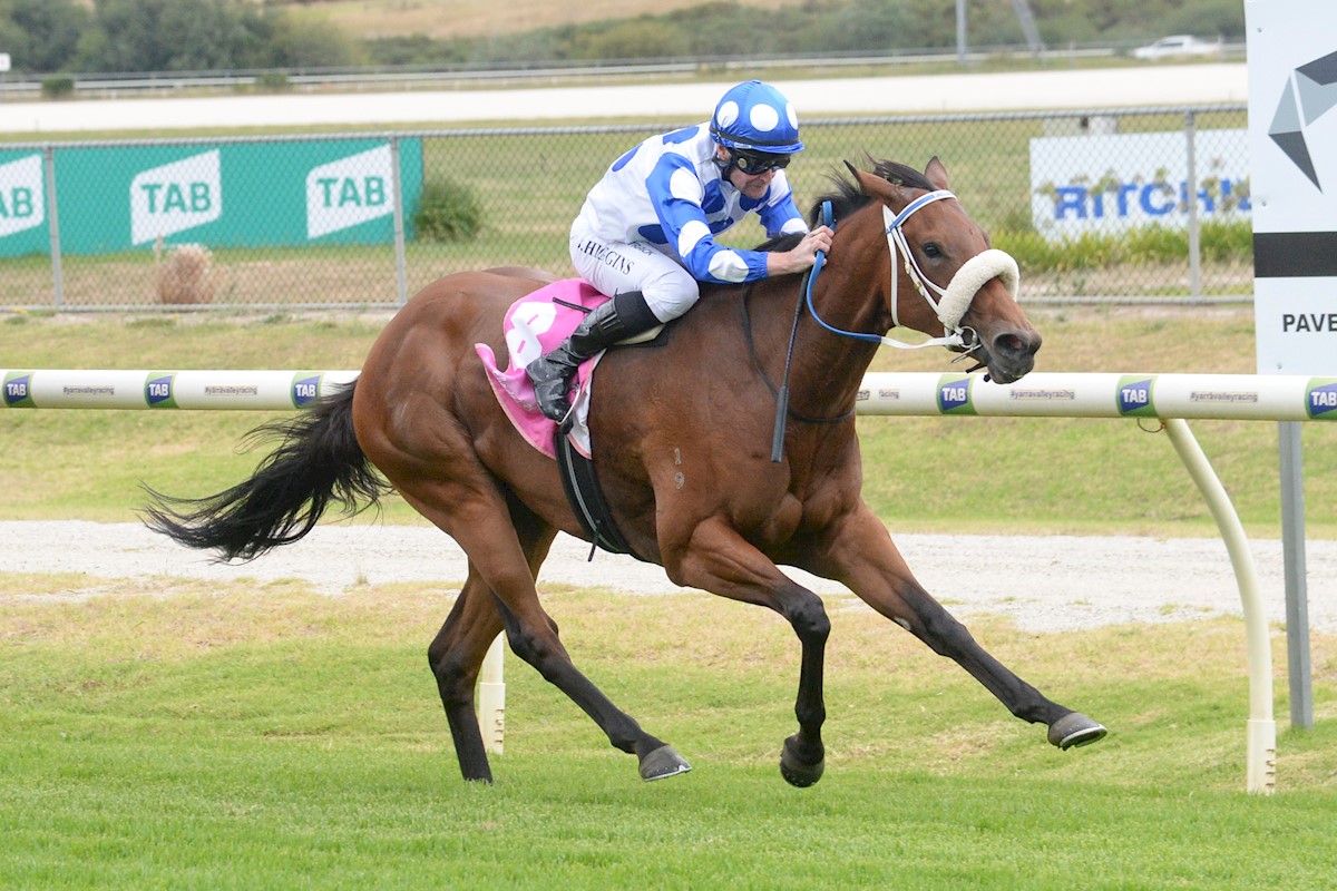 A Charmed Debut For Boom Filly