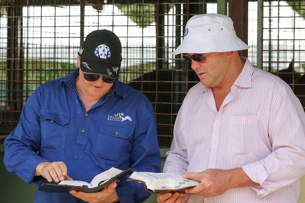 The Magic Millions 2024 Yearling Sale Commences Tomorrow!