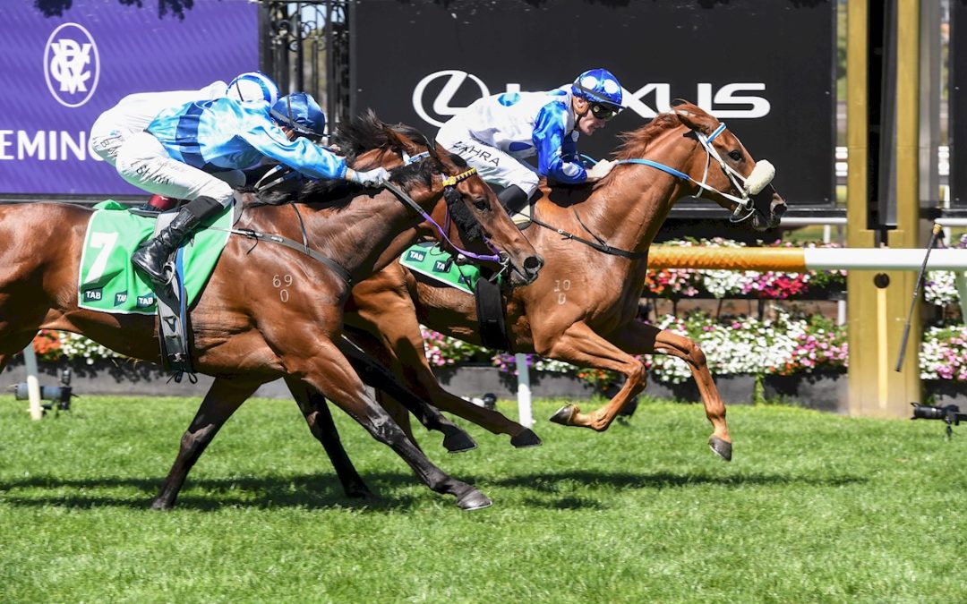 Autumn Angel Proves Too Good To Win The Group 2 Kewney Stakes At Flemington