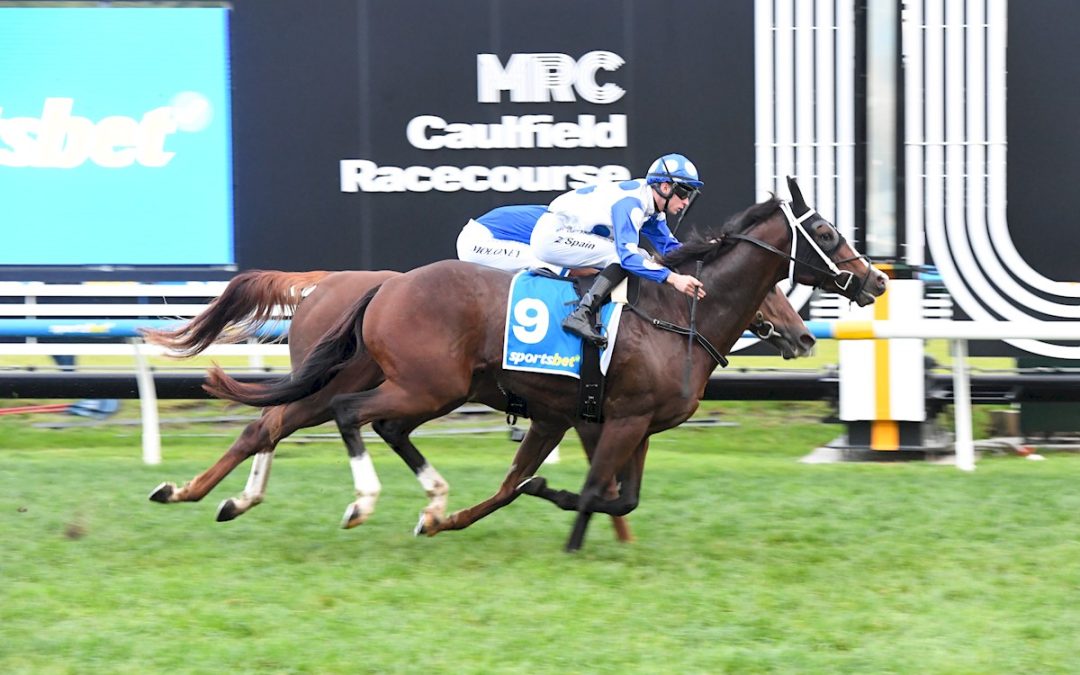 Red Hott Nic Wins in Caulfield