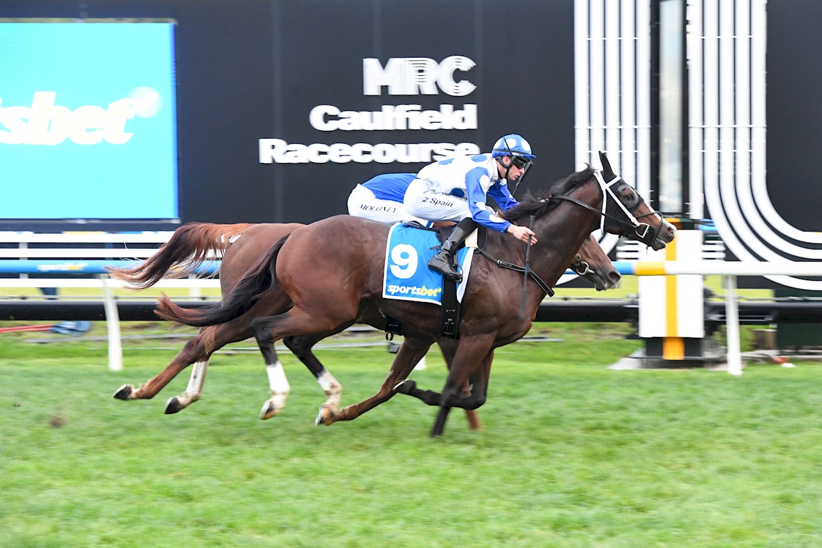 Fabulous All The Way Win For Red Hot Nic At Caulfield