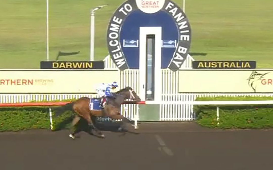 Patriotic King wins at Darwin Race 4